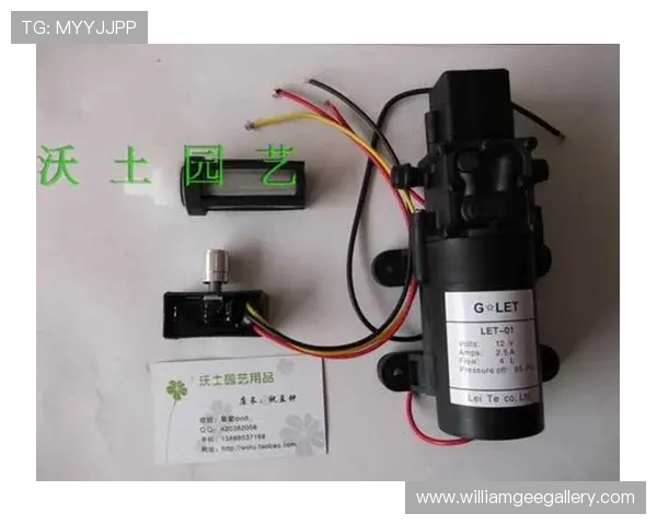 利来ag来就送38全新上线精彩纷呈的游戏内容让玩家尽情享受无限欢乐时光 利来ag来就送38全新上线精彩纷呈的游戏内容让玩家尽情享受无限欢乐时光