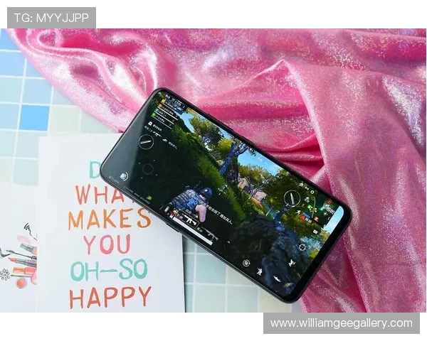 如何选择靠谱的旗舰厅ag登录线路，确保资金安全与游戏流畅性