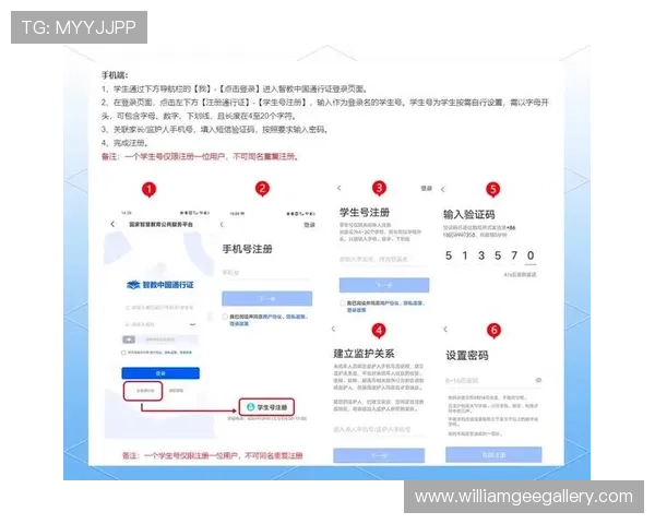 深入解析ag电子注册步骤及注意事项
