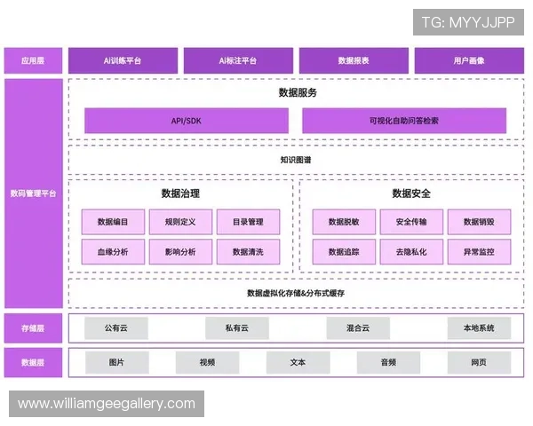 K8视讯网游数据分析与用户行为研究，优化内容布局与服务策略