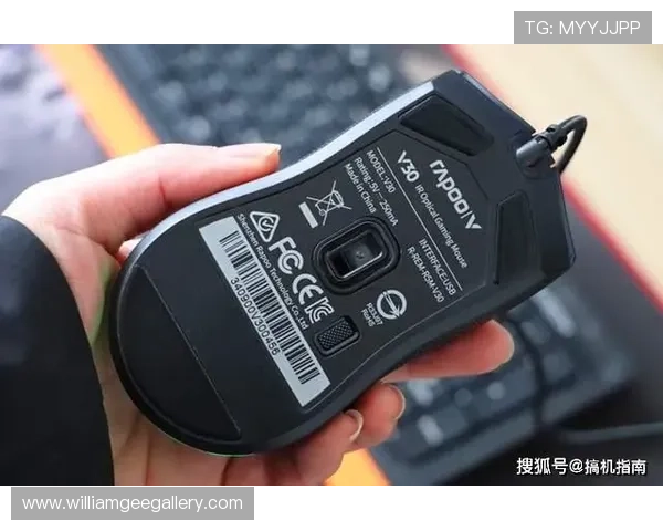 必赢亚洲在线客服全天在线提供专业支持确保玩家游戏无忧体验