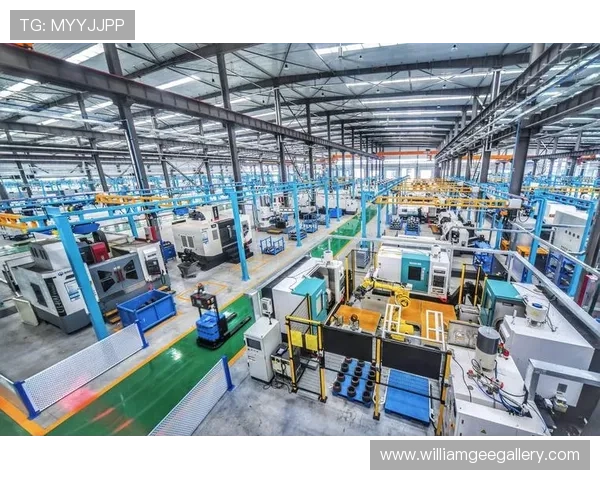 多宝视讯公司背景揭秘，了解其所在国家和地区的行业环境与发展优势