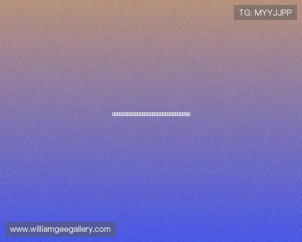 库拉索队与科特迪瓦队世界杯赛场表现评析：战术调整与关键战术分析